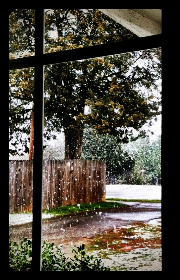 Snow falling and discussion as&nbsp;follows