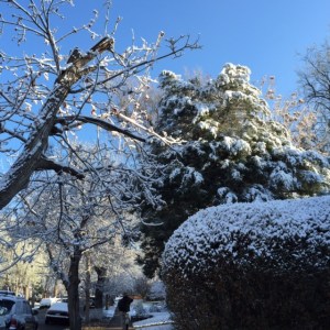 snow in denver morning 4:3:15