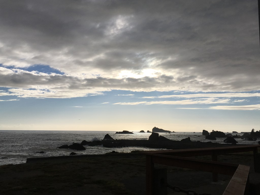 Day 7 3274 miles driven, raining in Snag City! Redding CA to&nbsp;Redwoods.