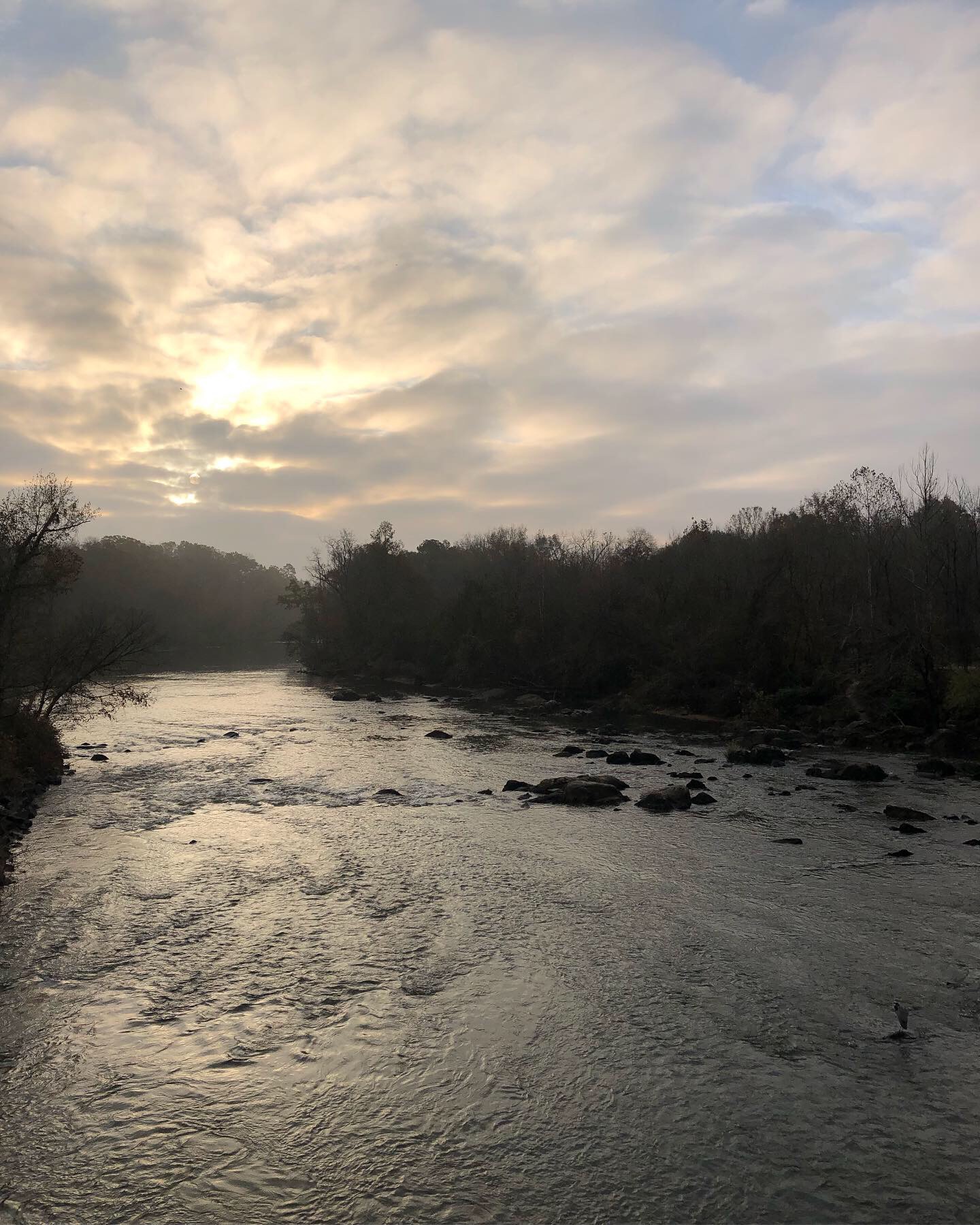 D849A7CE-6C97-4796-9DB9-59B0096ED971