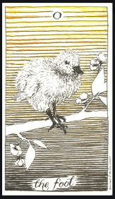 The Fool - Baby Duck